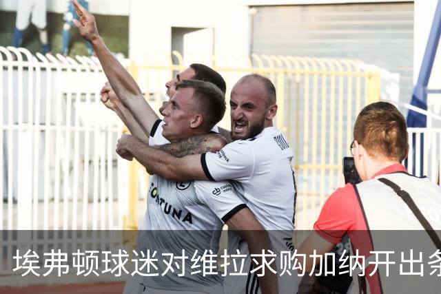 埃弗顿球迷对维拉求购加纳开出条件：拿1亿英镑来换中场数据王